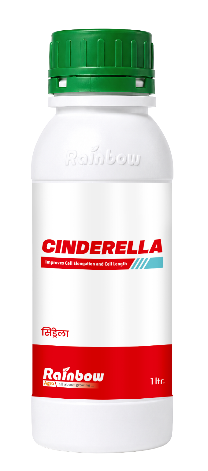 Cinderella bottle