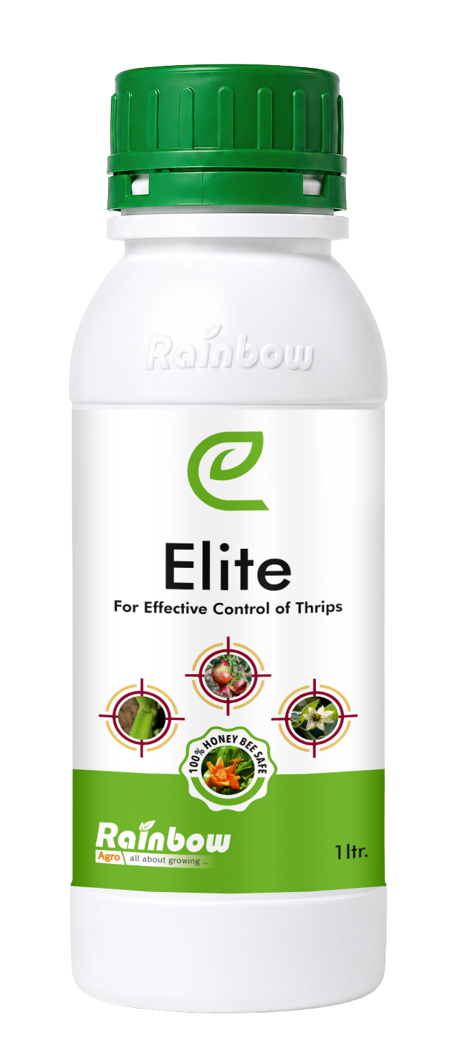 Elite bottle