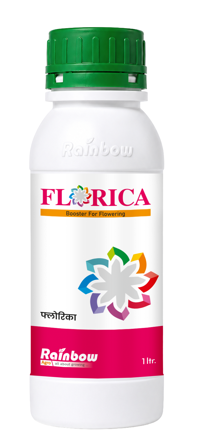 Florica bottle